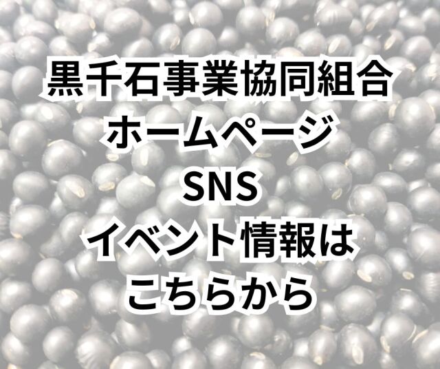 HP、SNS、イベント情報はこちらから